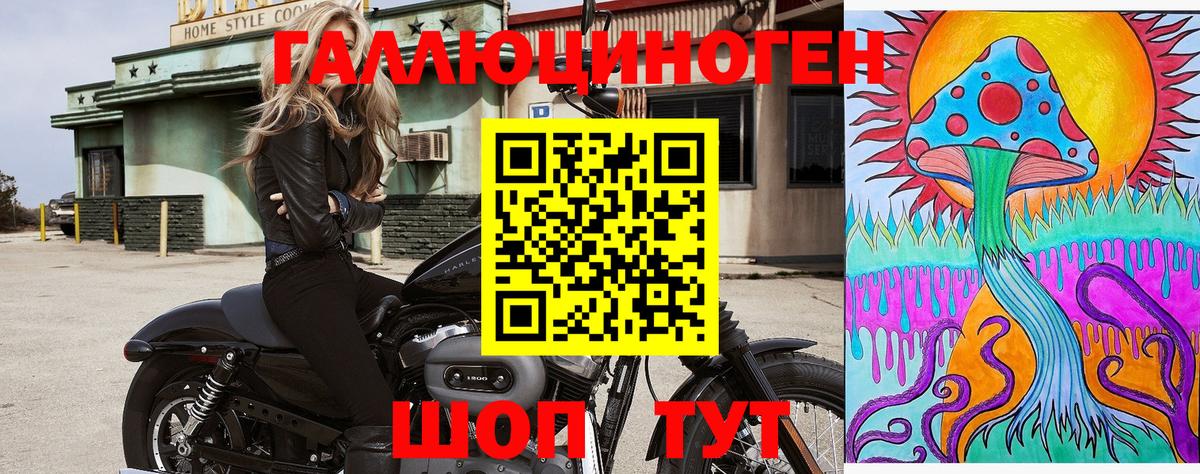Кохма  купить наркотик  Вход с VPN  Галлюциногенные грибы мицелий 
